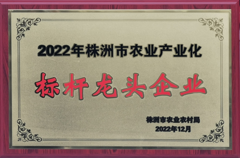 2022��������ũҵ��ҵ�������ͷ��ҵ