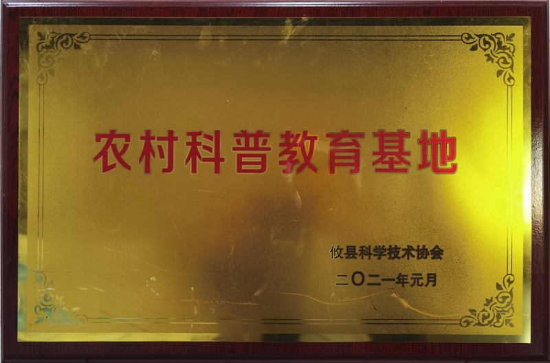 ũ����ս�������